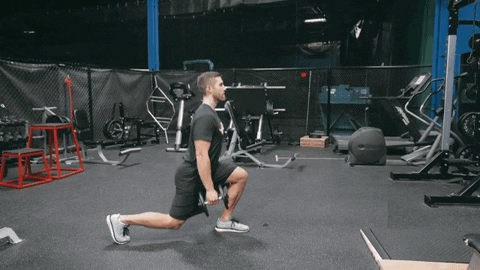 split squat dumbell lunge GIF by Hockey Training