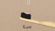 thebamandboo panda bamboo bamboo toothbrush thebamandboo GIF