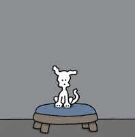 Best Friend Love GIF by Chippy the Dog