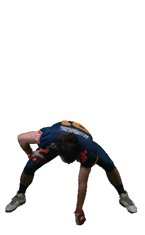 Football Sport Sticker by Dresden Monarchs