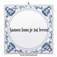 Team Wijsheid GIF by Tegelspreuken.nl