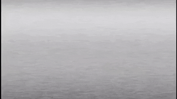 Territoriodistribuidora  GIF