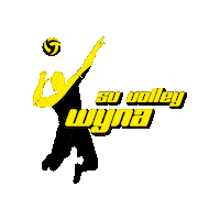 Volleyball Switzerland Sticker
