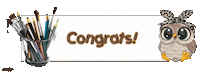 Congrats Sticker