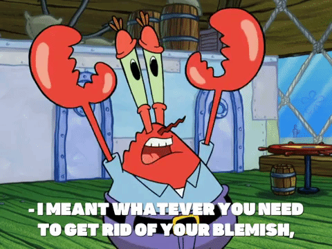 season 8 barnacle face GIF by SpongeBob SquarePants