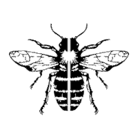 unlimitedflocker bee unlimited abeille flocker Sticker