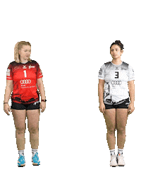 Volleyball Svf Sticker by Rotes Rudel