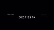 visionjuvenilelp vj vj2019 visionjuvenil vjdespierta GIF
