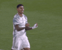 Portland Timbers Baby GIF by Major League Soccer
