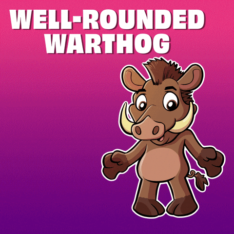 GIF by VeeFriends
