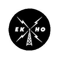 Dw Dawn Wall Sticker by Ekho World