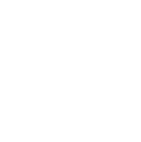 Dw Dawn Wall Sticker by Ekho World