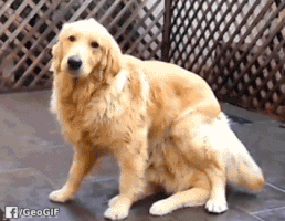 GIF by Demic