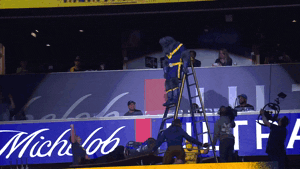 Nba Playoffs Sport GIF by NBA