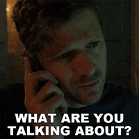 Bau GIF by Paramount+