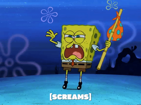 season 5 GIF by SpongeBob SquarePants