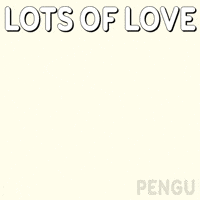 I Love You Penguin GIF by Pudgy Penguins