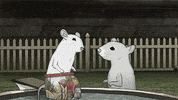 mark duplass cats GIF by Animals