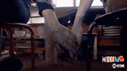 kidding showtime GIF by Showtime