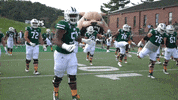 OhioBobcats football cats ncaa college football GIF