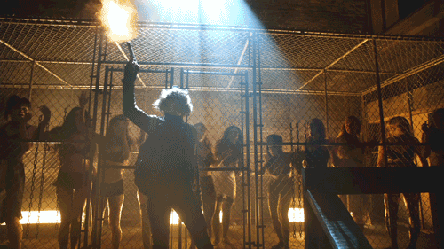 GIF by Gotham