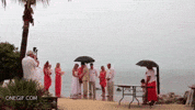 boda esta GIF