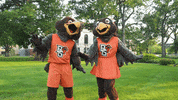 Celebrate Bowling Green GIF by Bowling Green State University