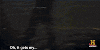 GIF by Swamp People