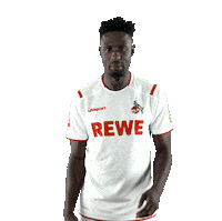 1 Fc Cologne Bundesliga Sticker by 1. FC Köln