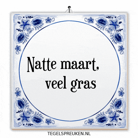 Nl Verandering GIF by Tegelspreuken.nl