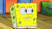 season 9 GIF by SpongeBob SquarePants