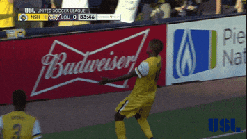 nashville sc dancing GIF by USL