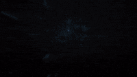 Halo Infinite