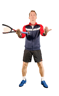 Teamnl Daviscup Sticker by KNLTB