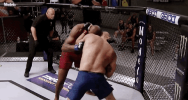 ultimate fighter fighting GIF by UFC