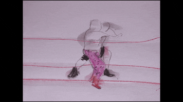 samgurry wwe wrestling wwf steve austin GIF