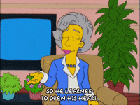homer simpson television GIF
