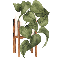 Plant Sticker by Veryvany