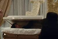 Coffin Jk Bts GIF