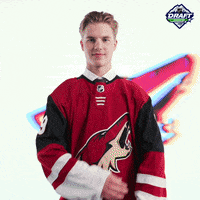 nhl sports sport hockey nhl GIF