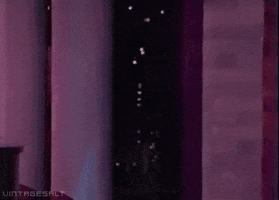 david letterman 90s GIF