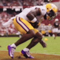 College Football GIF by LSU Tigers