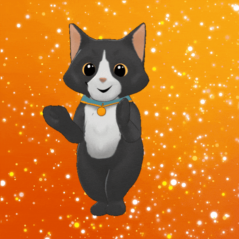 Taylor Swift Cat GIF by TeamKrikey