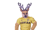 Yucatan Sticker by Venados FC