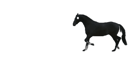 Horse Hengst Sticker by Toetti