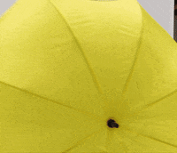 rainy day rain GIF by Don Schumacher Racing