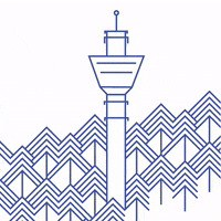 Kuopionkaupunki city birds HotAirballoon kuopio GIF