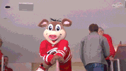 hockey nhl GIF by Carolina Hurricanes