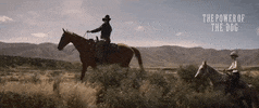 Benedict Cumberbatch Movie GIF by NETFLIX