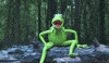 kermit the frog ice GIF